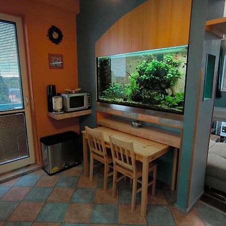 Suk Apartman 24 ซุชโดล นาด ลูชนิซี ภายนอก รูปภาพ